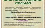 sm (13)